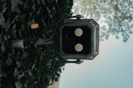 Winmasters Kazino Mobilā lietotne